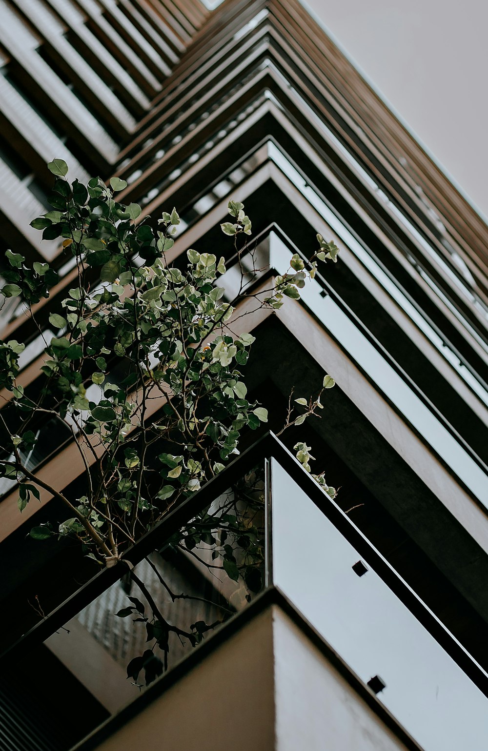 low angle photography of gray concrete building