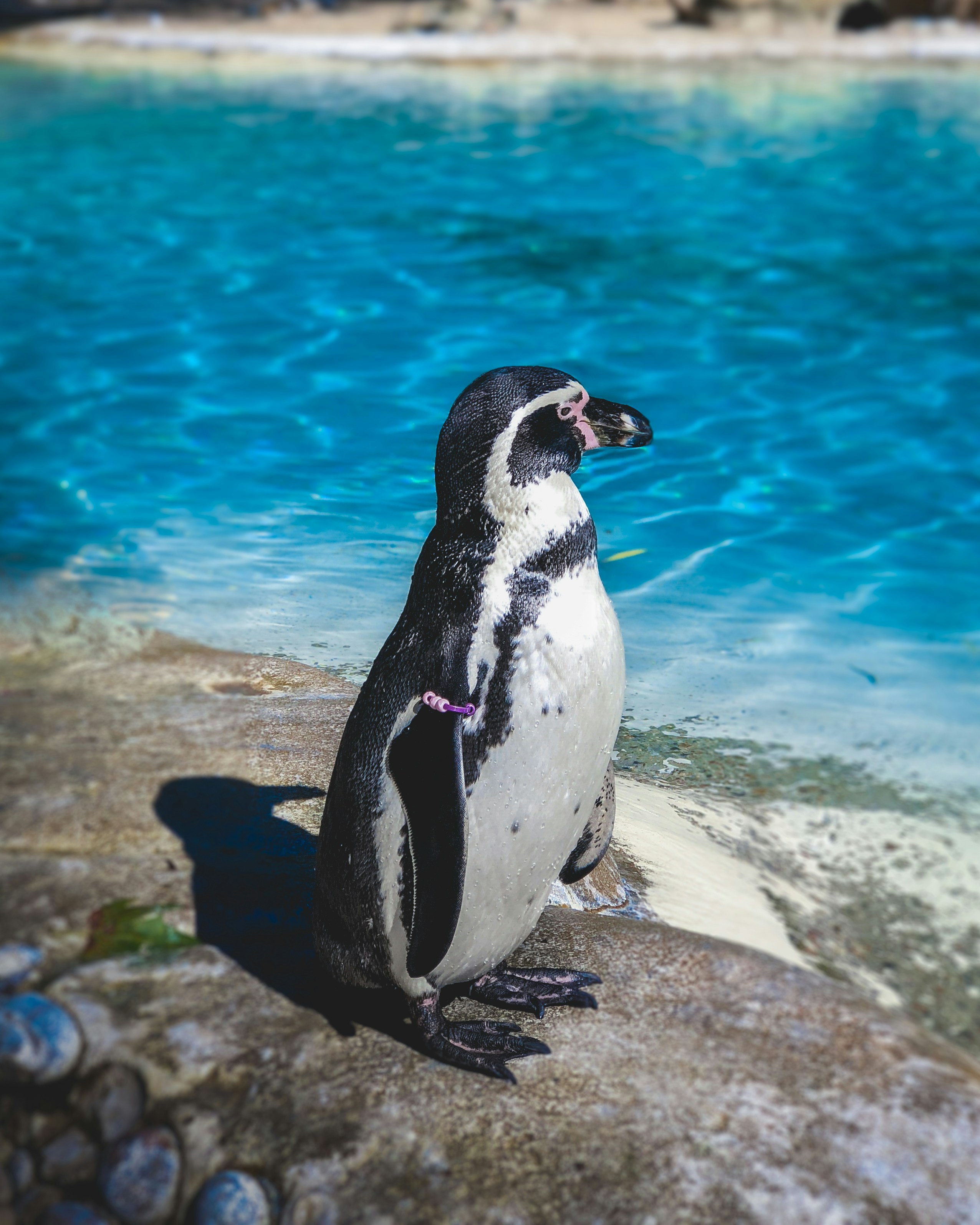 Photo by jerebussola