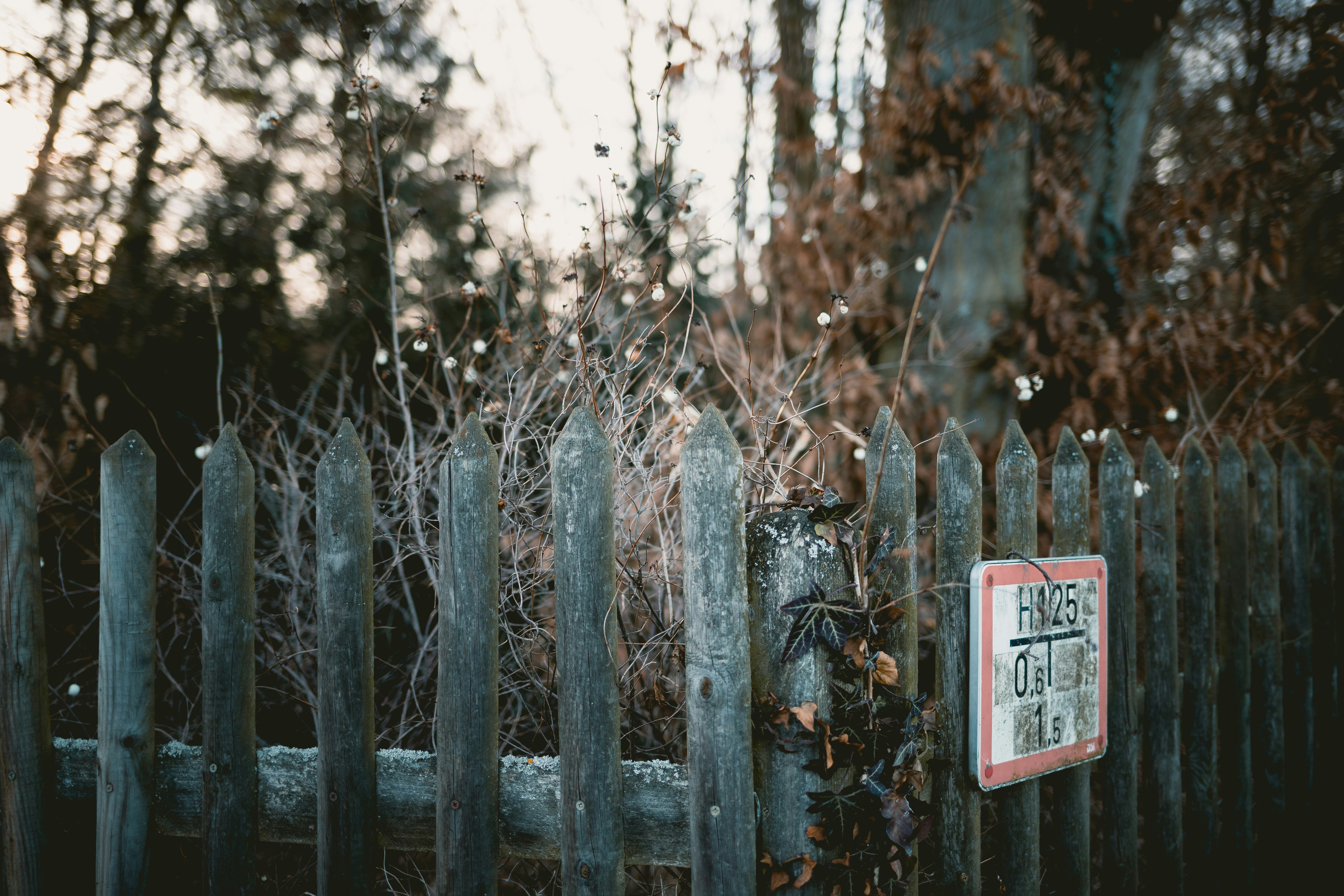 Photo by niklas_hamann