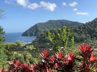 Scenic Malaysian landscape highlighting Serve Tourism's local experiences.