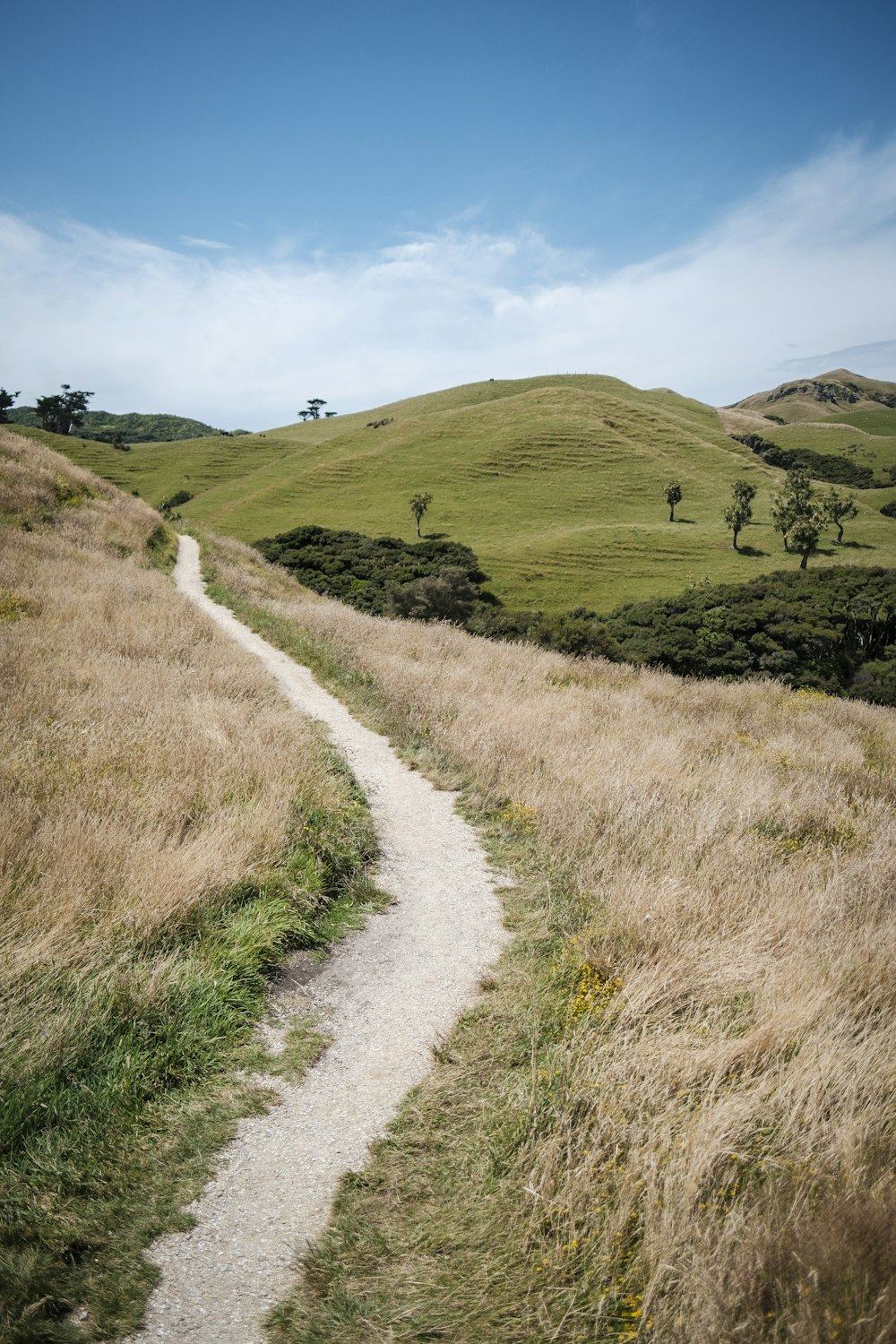 Caminho perto de colinas