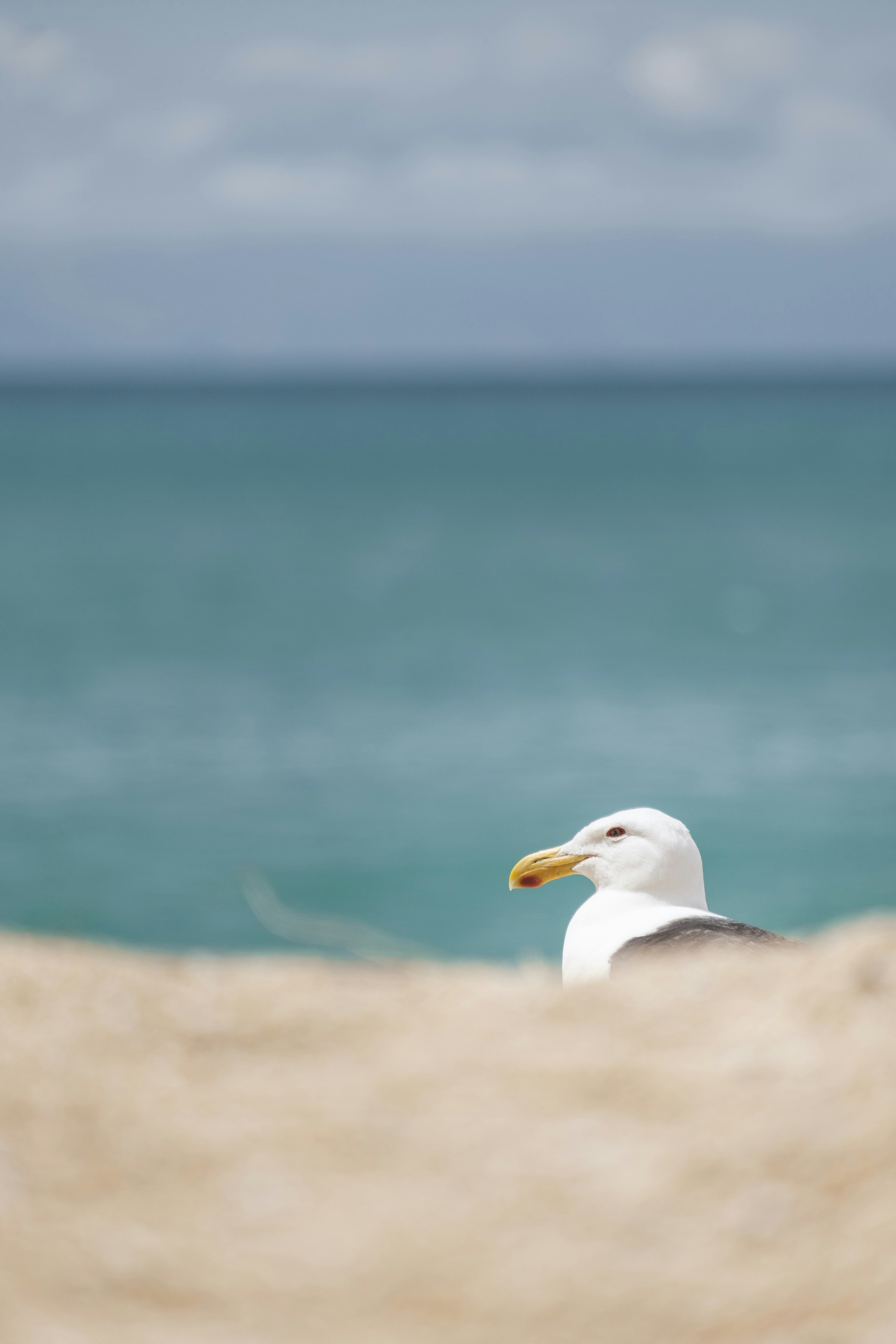 Photo by pixelatelier