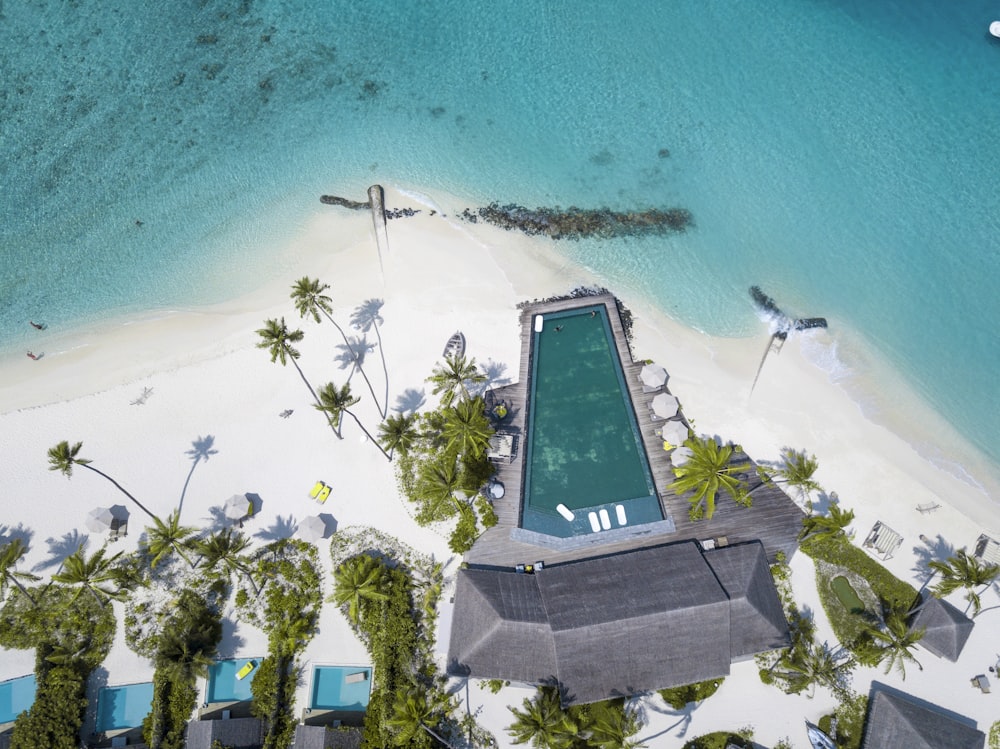 aerial photography of seashore and building