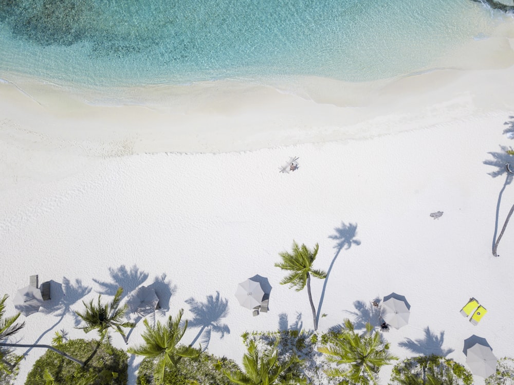 white shore during daytime