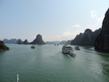 A serene boat gliding through the emerald waters of Ha Long Bay under a clear sky.