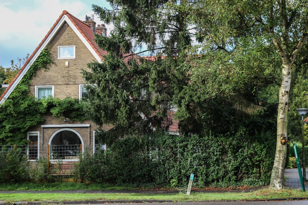 brown house beside green and brown trees