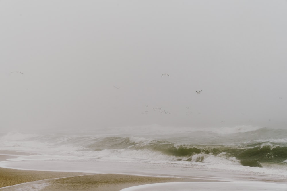 sea waves during daytime