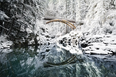 bridge under snowy mountain