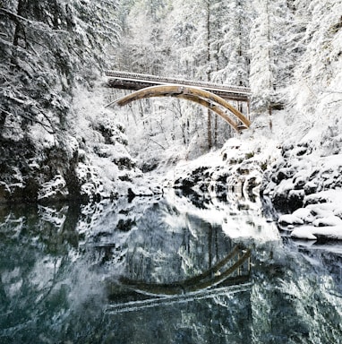 bridge under snowy mountain