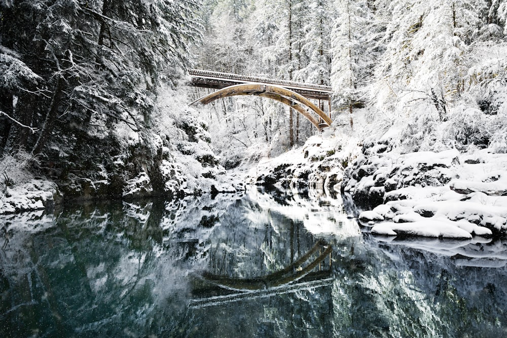 bridge under snowy mountain