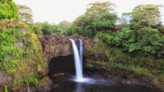 A stunning view of a lush jungle with a waterfall cascading into a serene river.