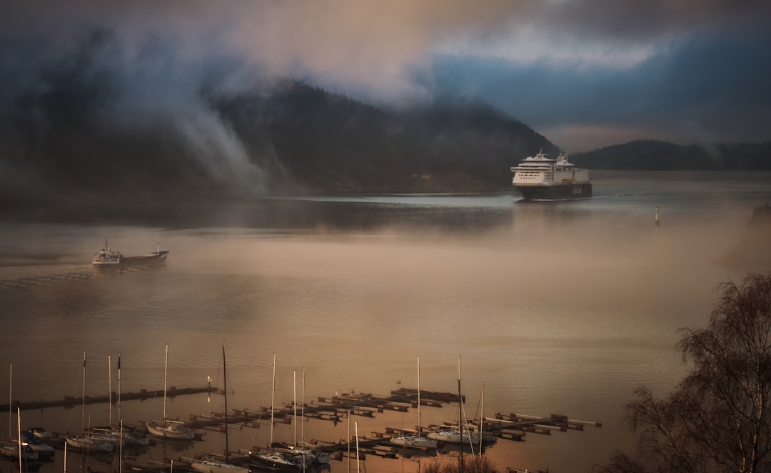 white cruise ship on calm body of water