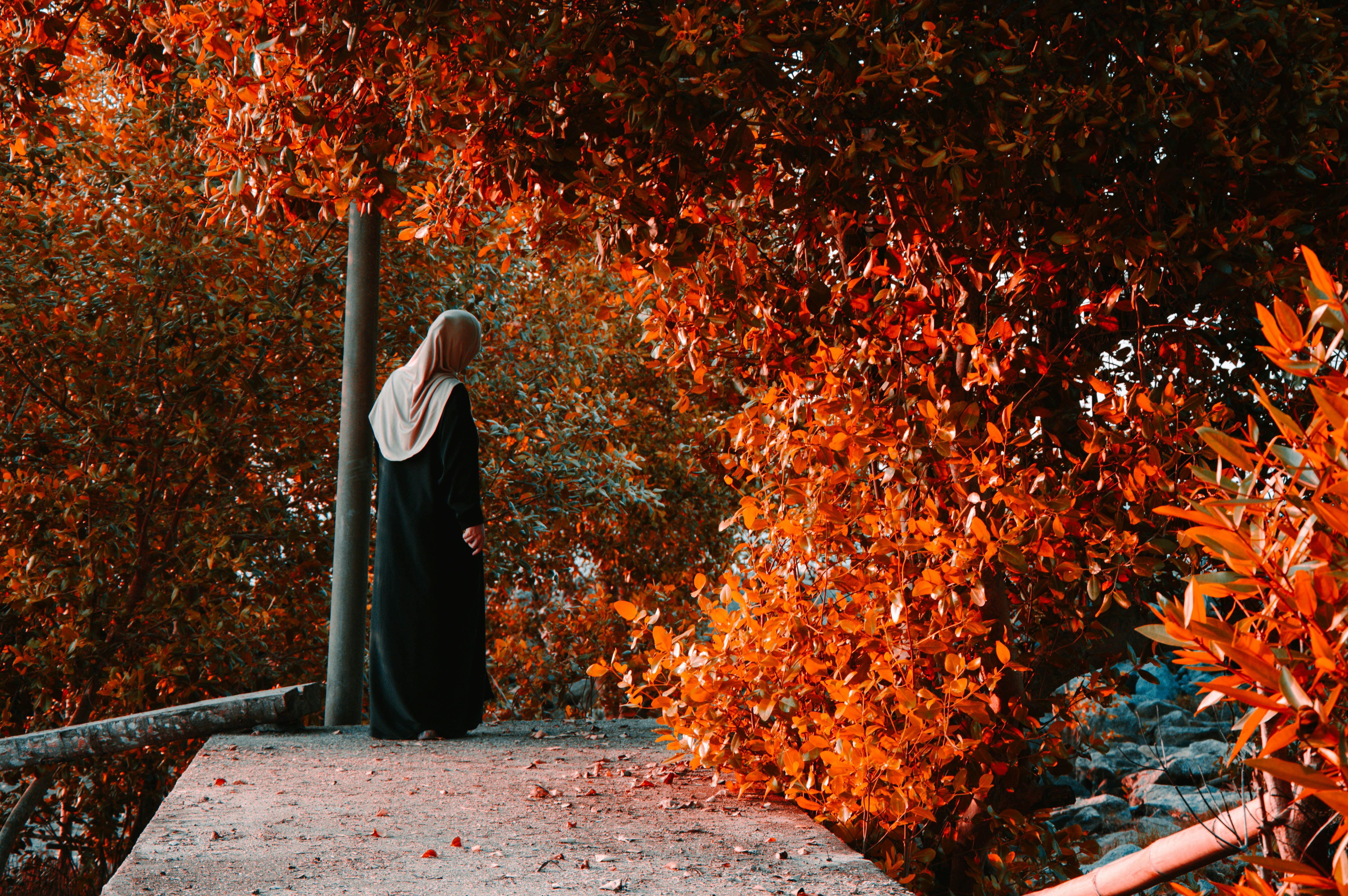 Photo by shaifulnizam