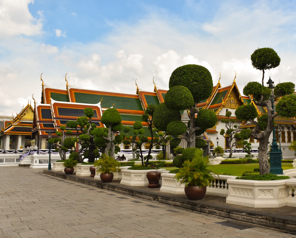 green-leafed plants under blue sky