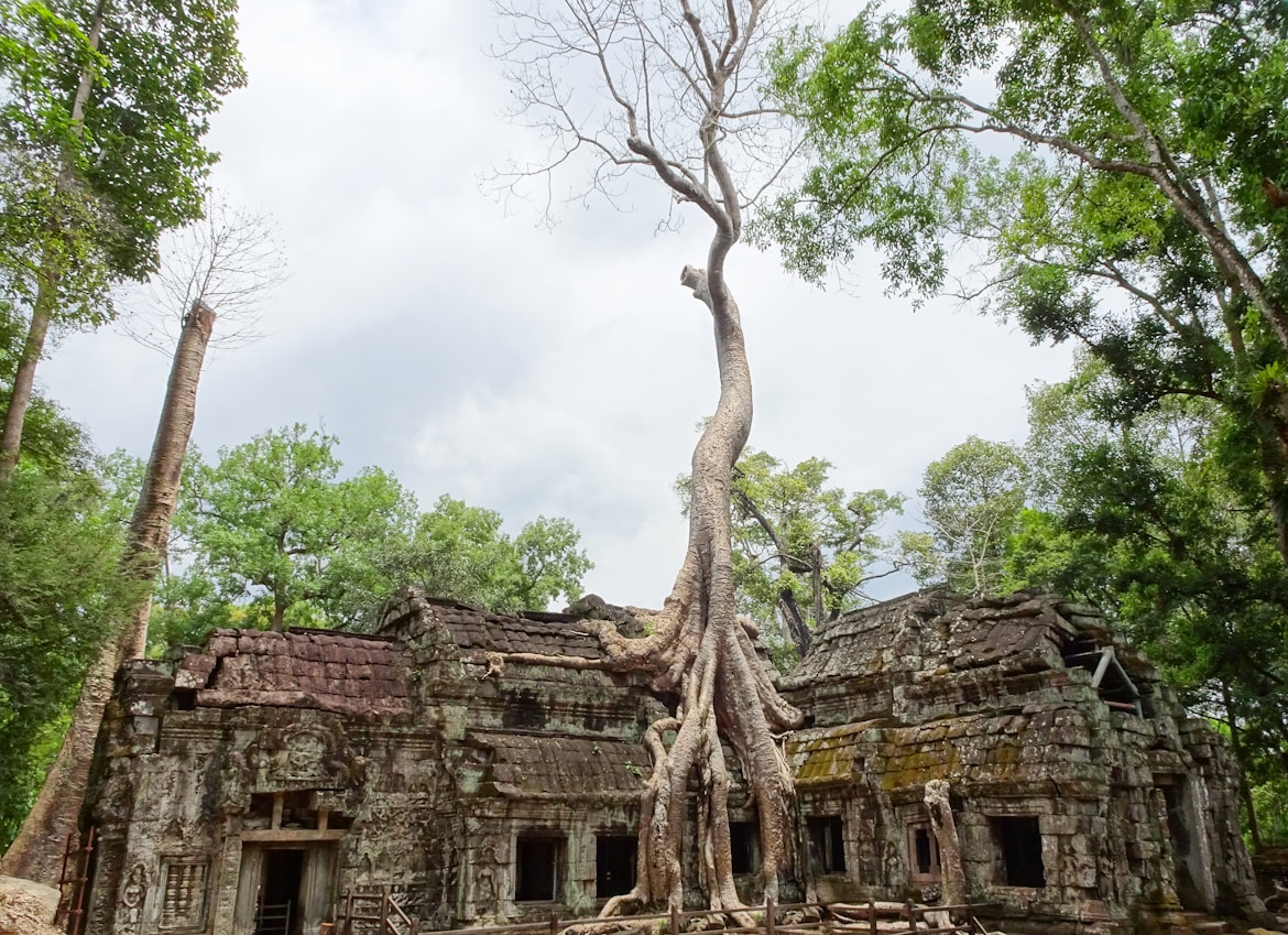 Laos