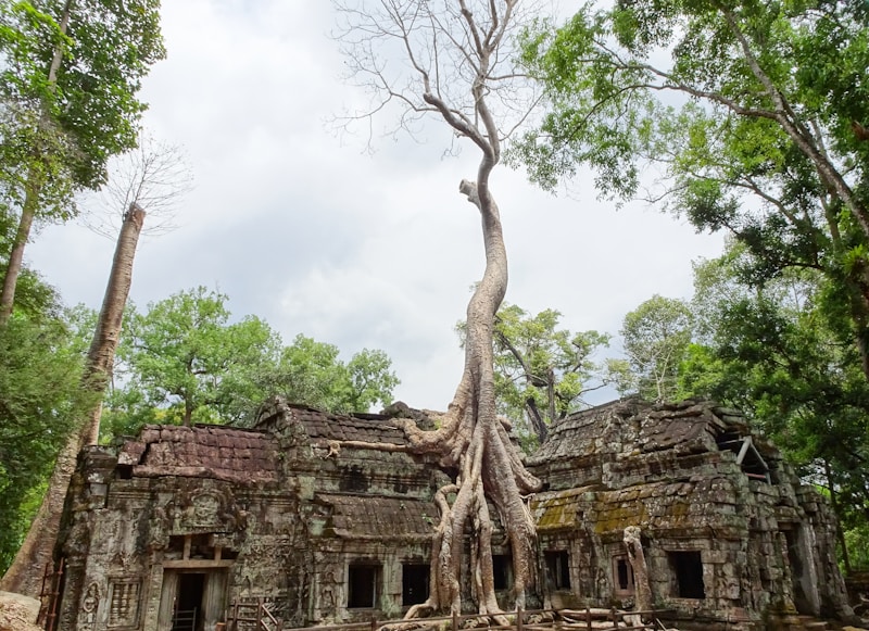 Phumi Boeng Ta Srei