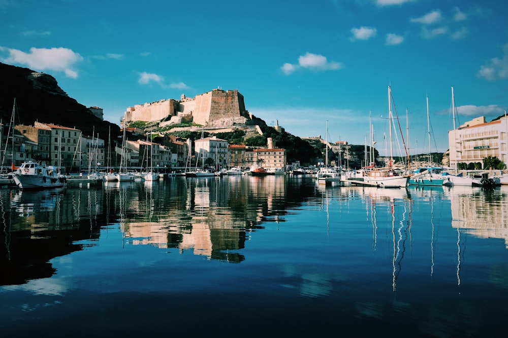 buildings beside body of water during daytime