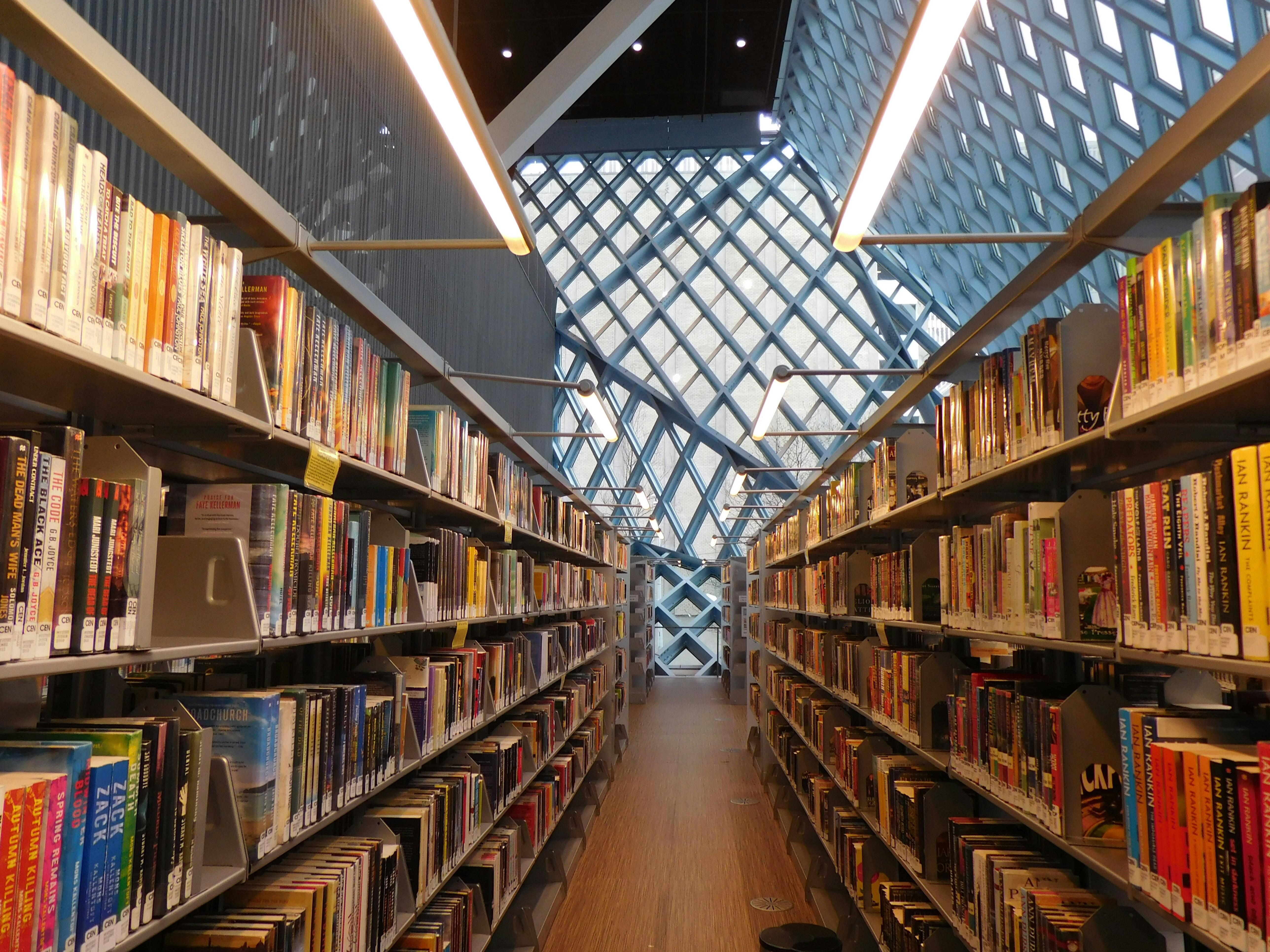 The Near and Far Future of Libraries