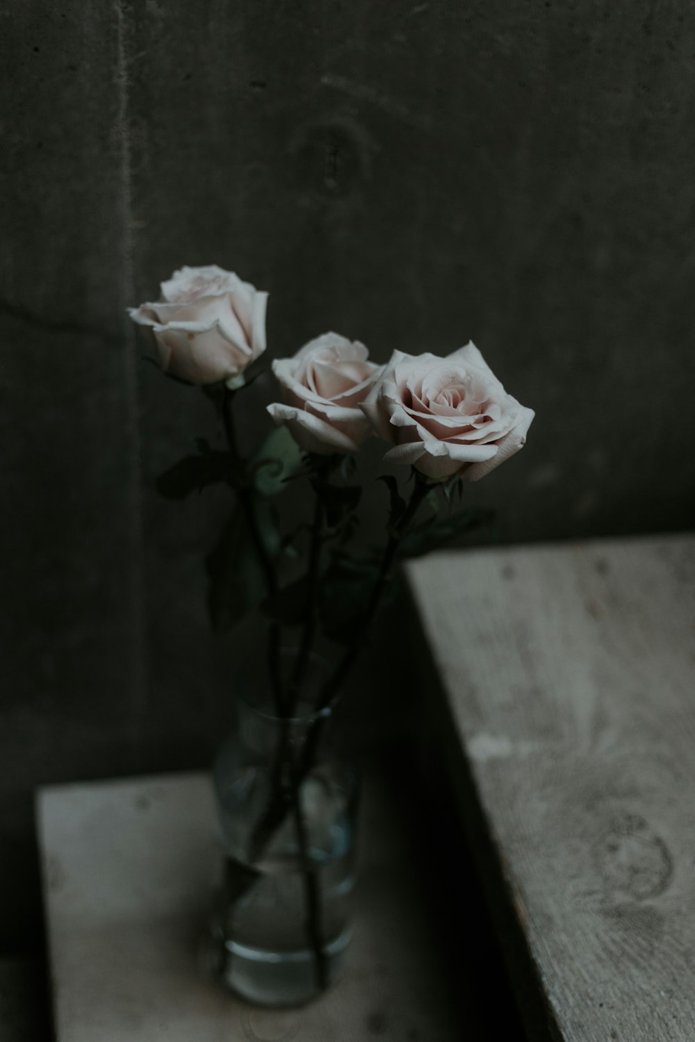 花瓶に生けられた3つの白いバラの花