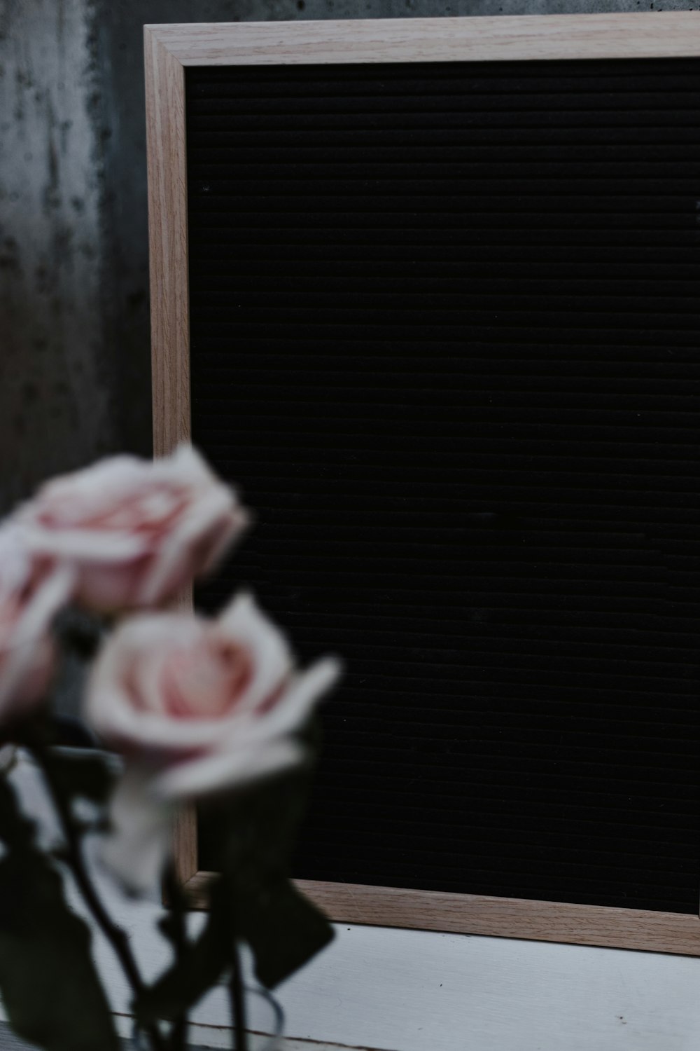 three pink rose flowers near black board