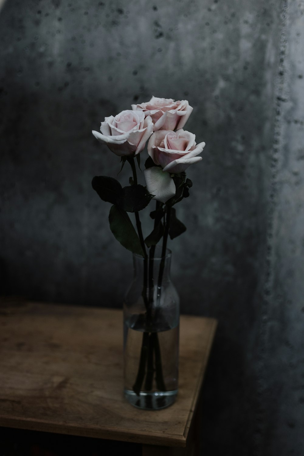 three pink roses in glass vase on table