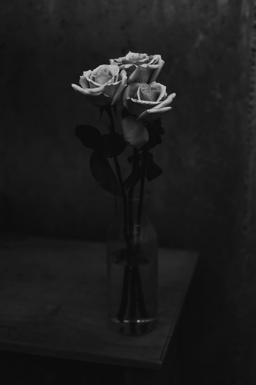 drei Rosenblüten in der Vase