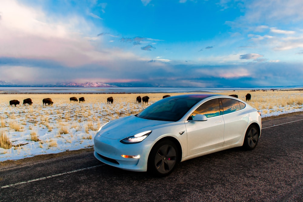 white Porche sedan