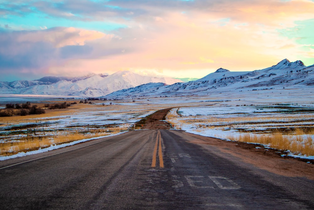 gray road in between snow-covered land