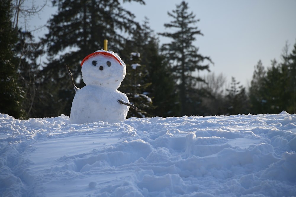 A snowman in a snowy landscape with fir trees in the background