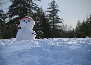 rule of thirds photography of snowman