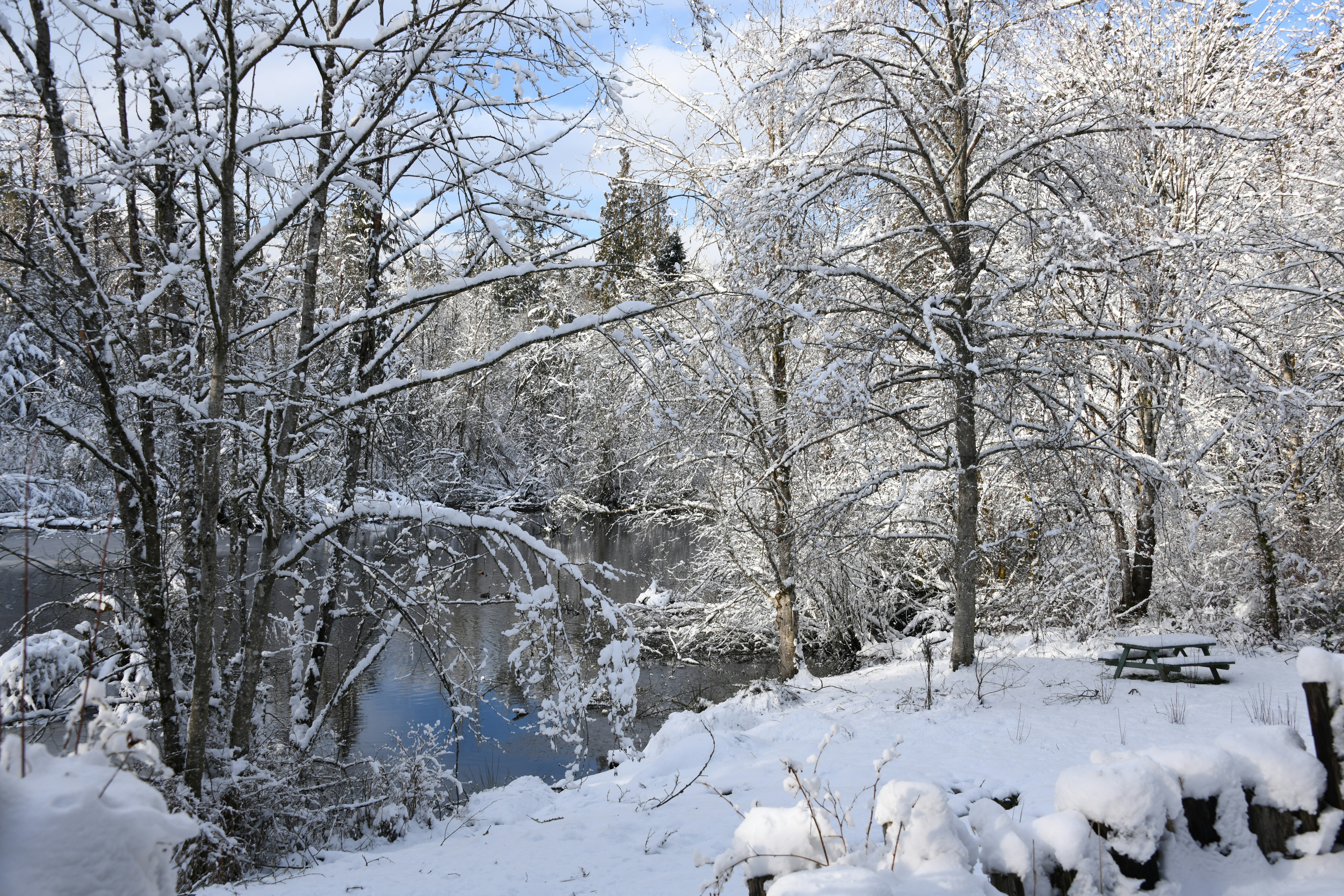 Photo by shelleypauls