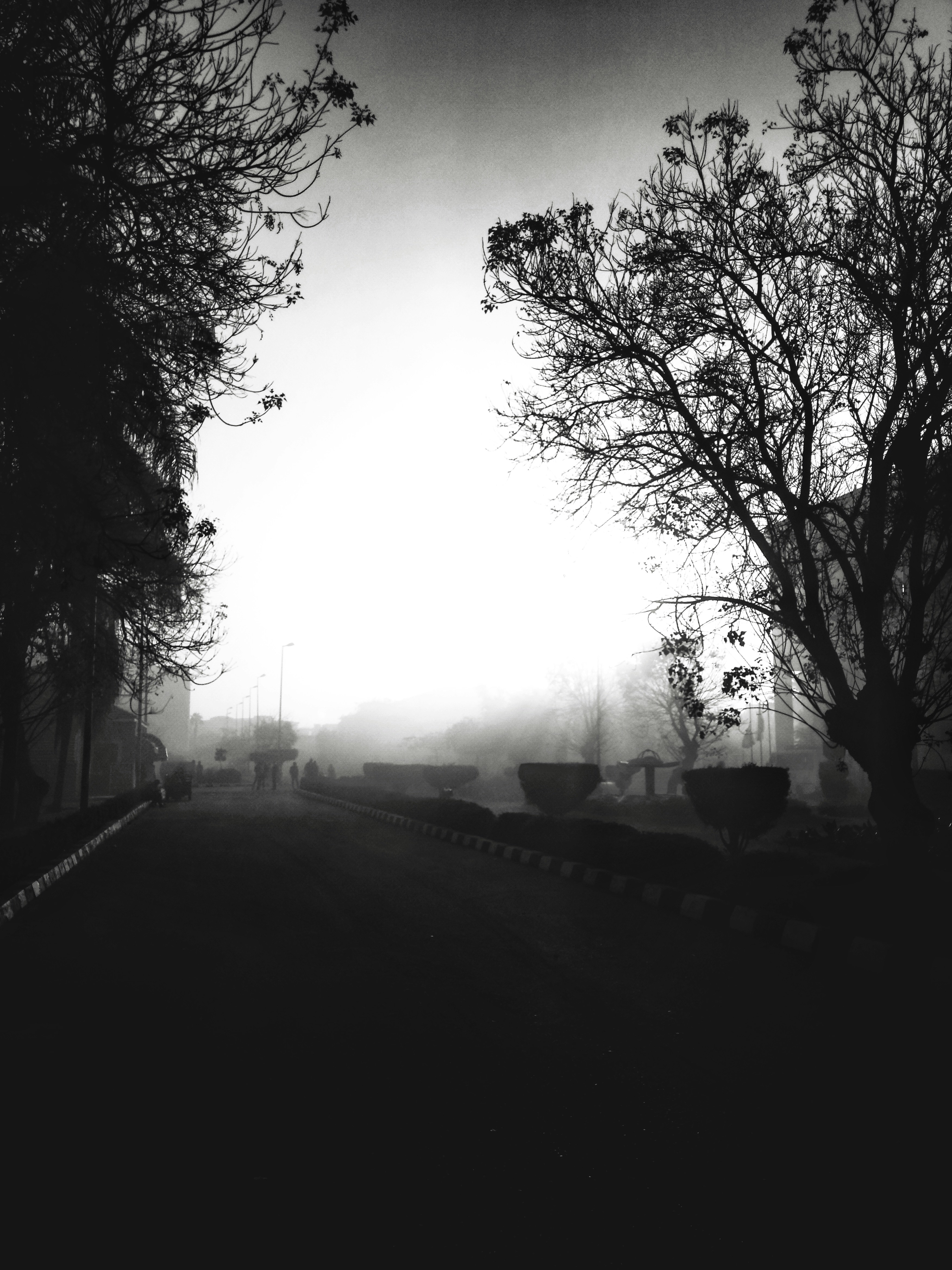 Photo by mustafaeldewy22