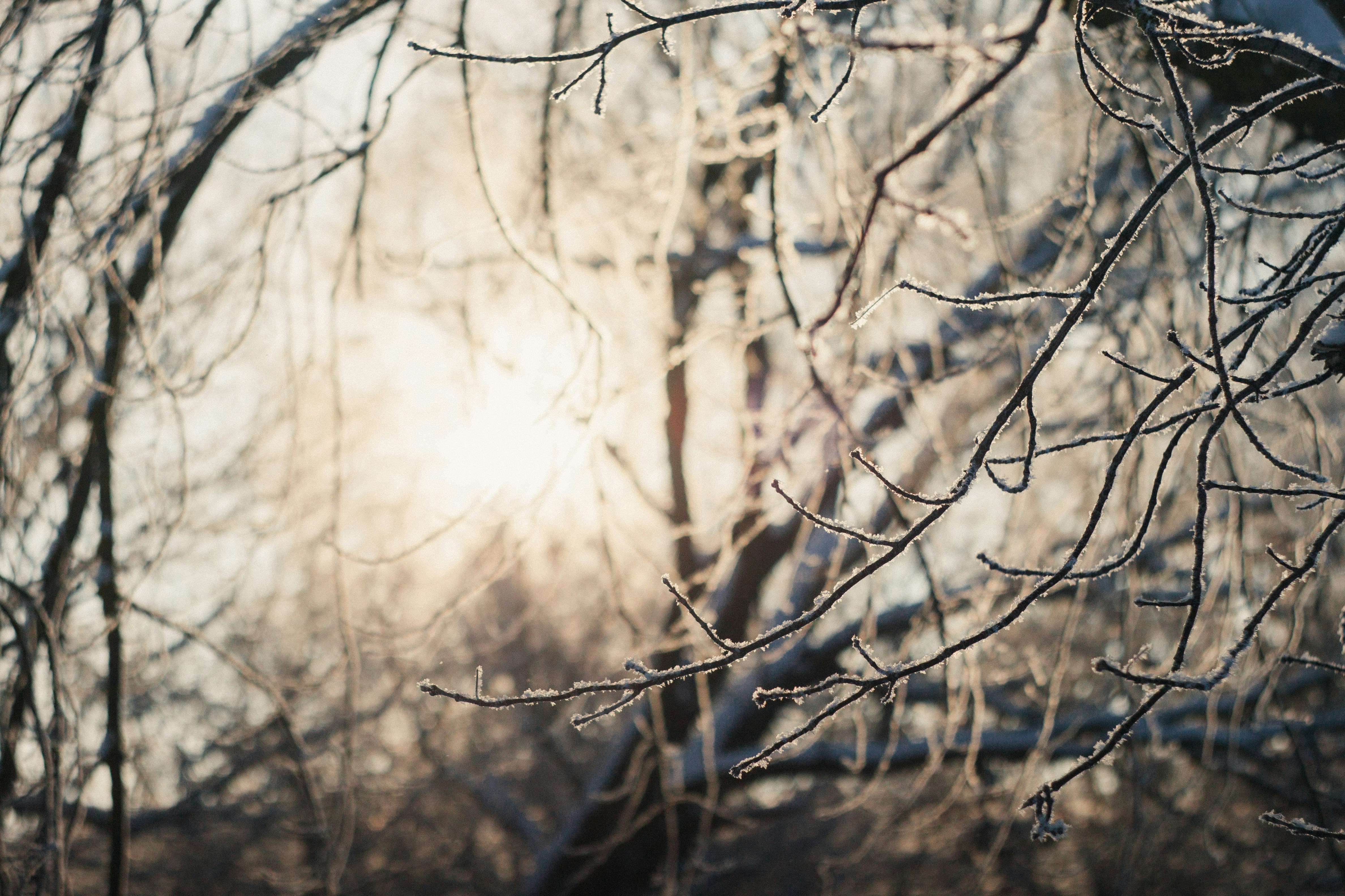 Photo by onmywayhome