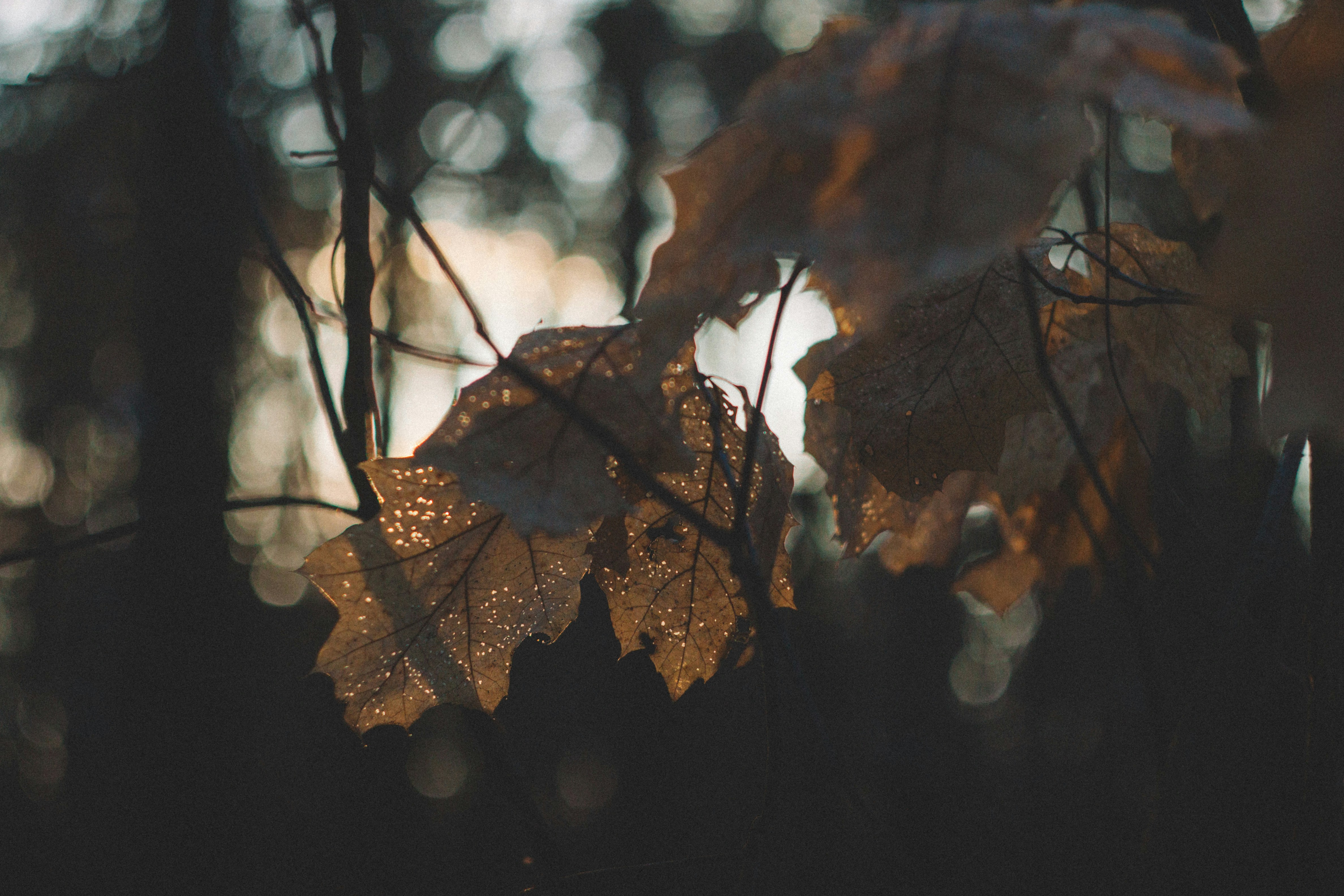 Photo by onmywayhome