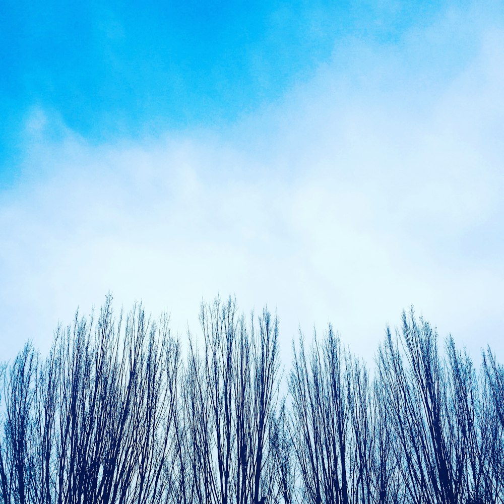 blue cloudy sky during daytime