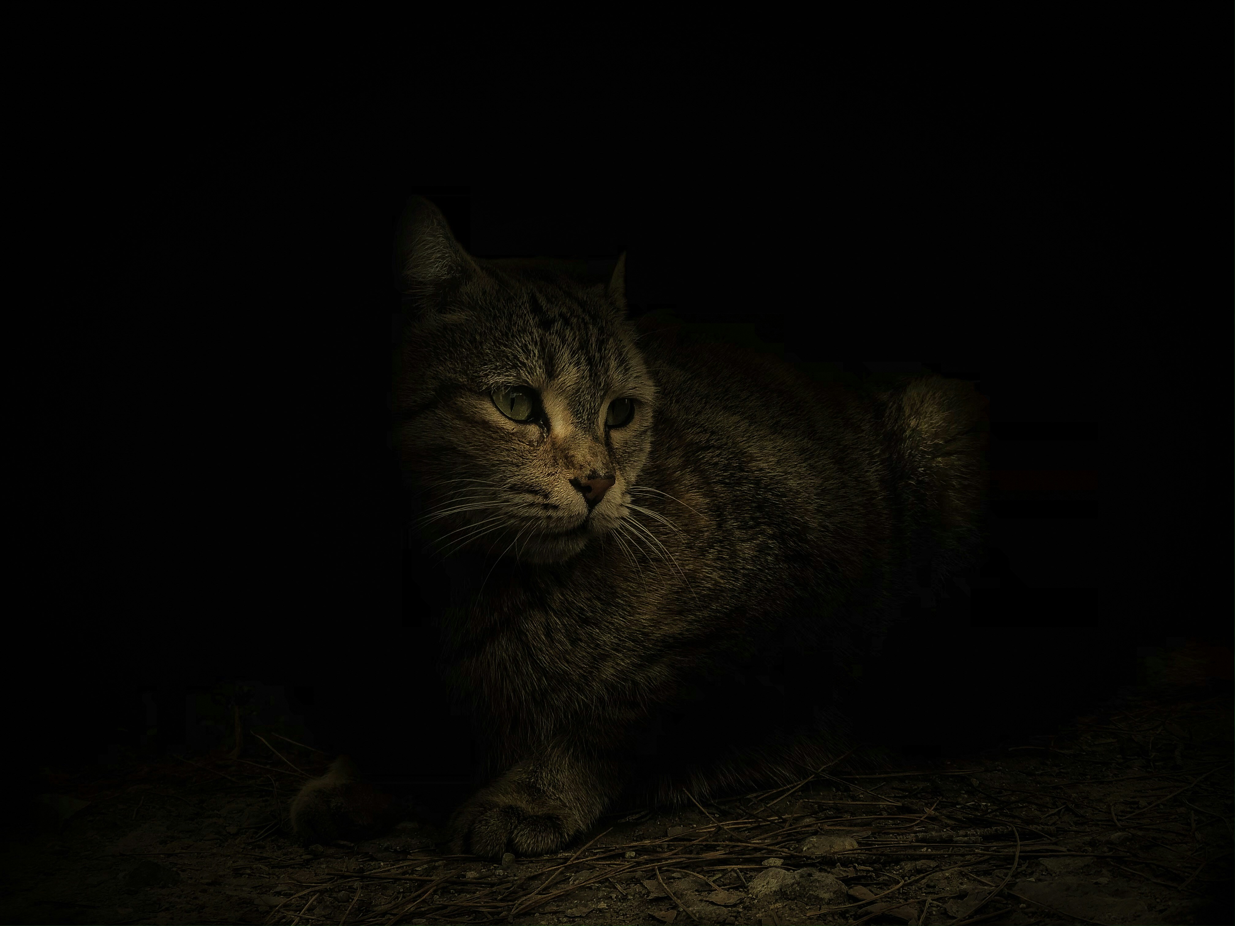 Photo by payam__tahery