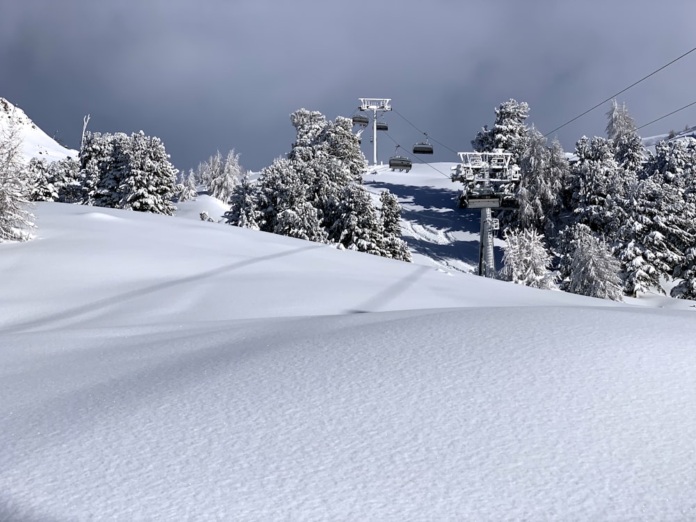 snow-covered mountains and trees during daytime