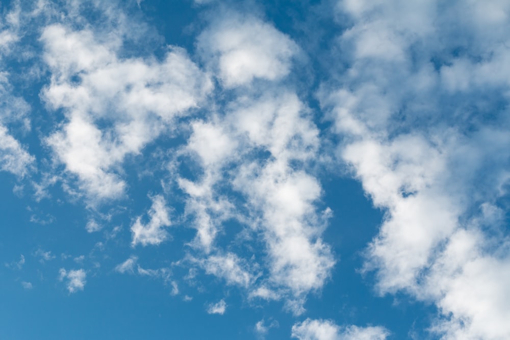 blue sky during daytime