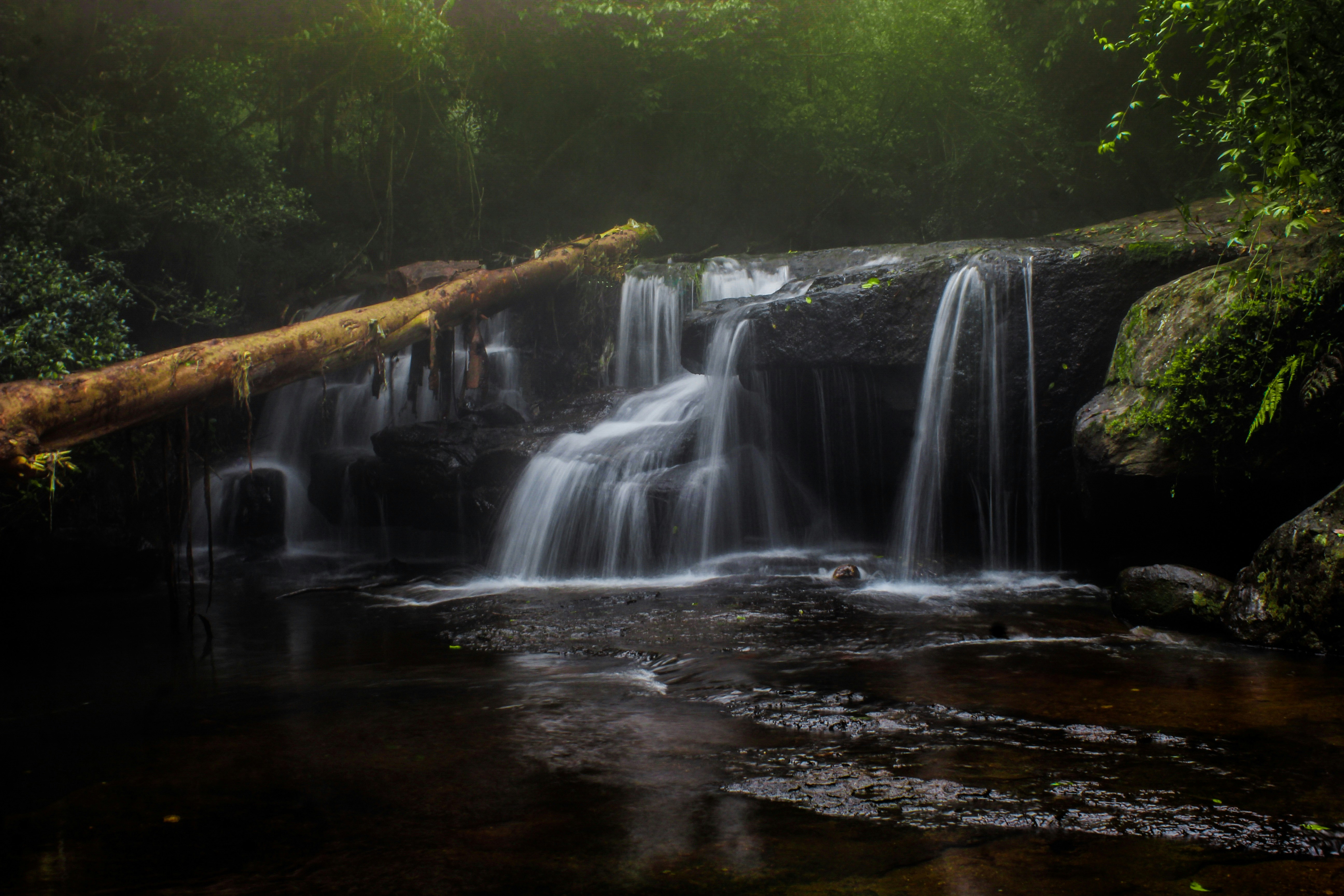 Photo by oldcitysaintt