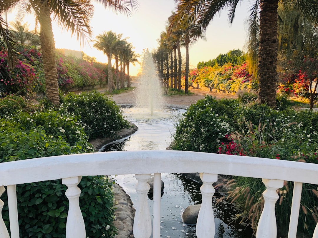 Resort photo spot Al Dhaid Sharjah Desert Park