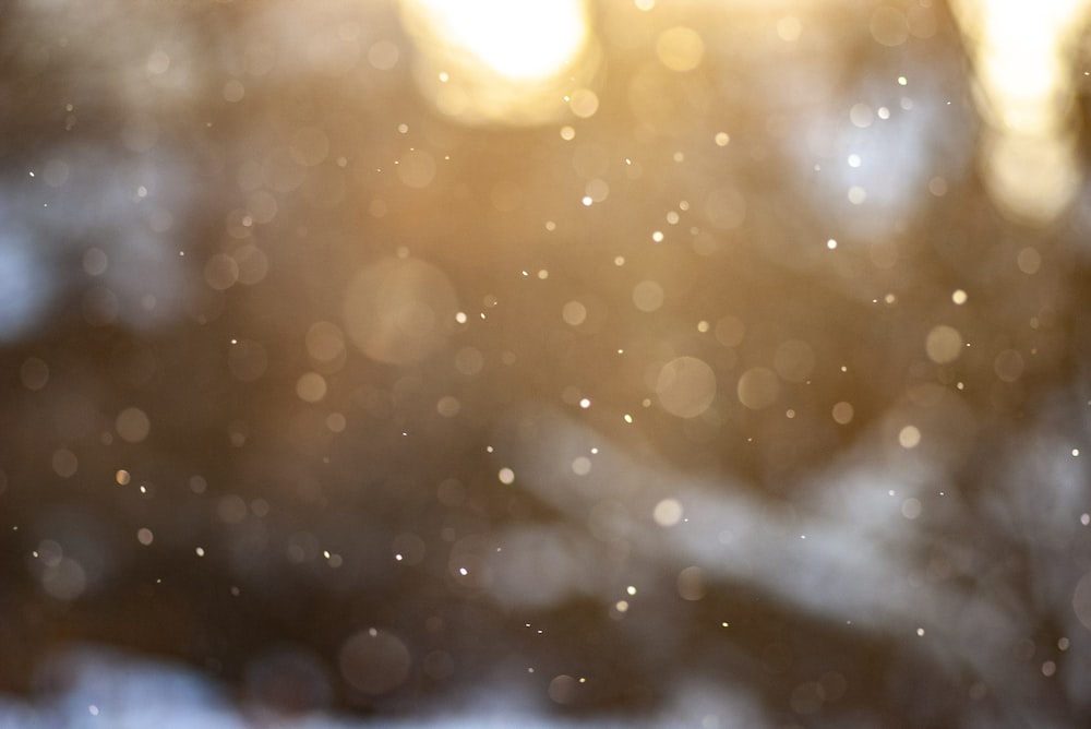 a blurry photo of snow falling from a tree