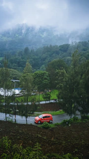 A vibrant red Brezza cruising through a lush green forest road.