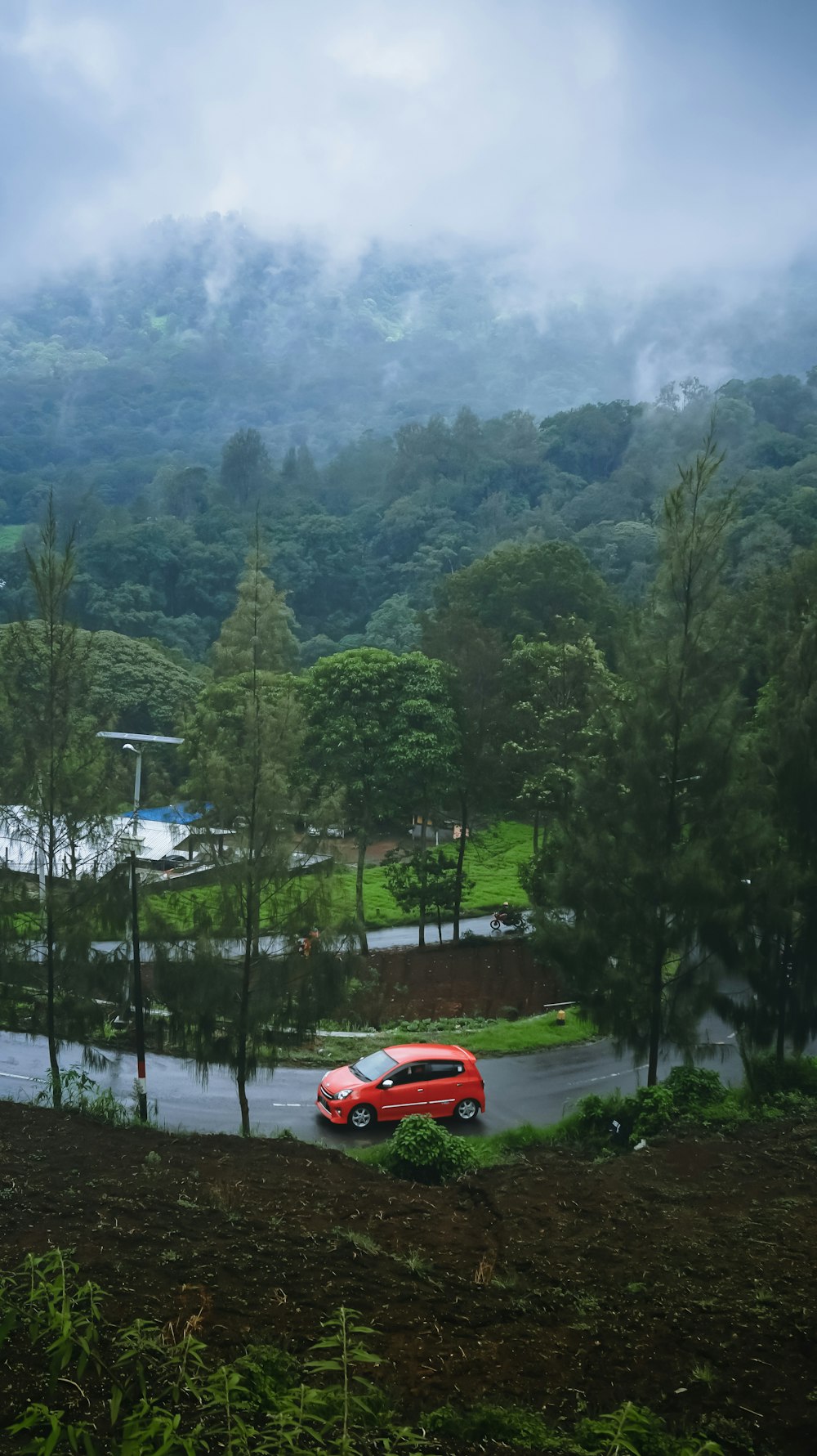 orange car on road