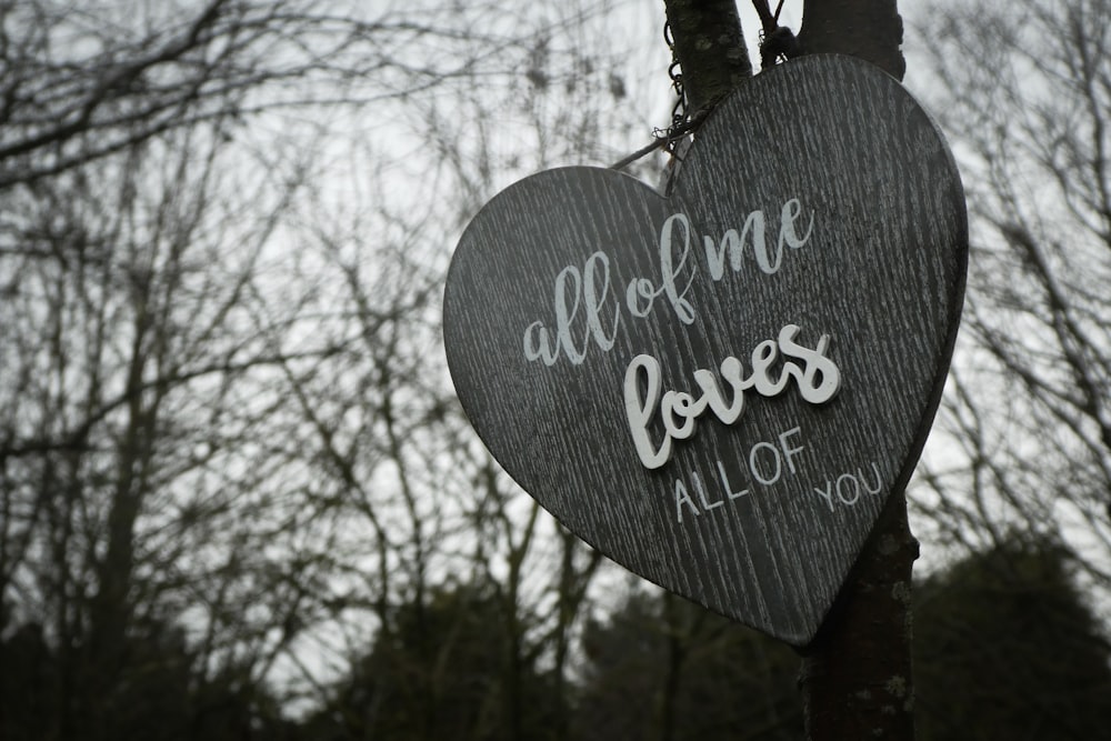 all of me loves all of you heart signage