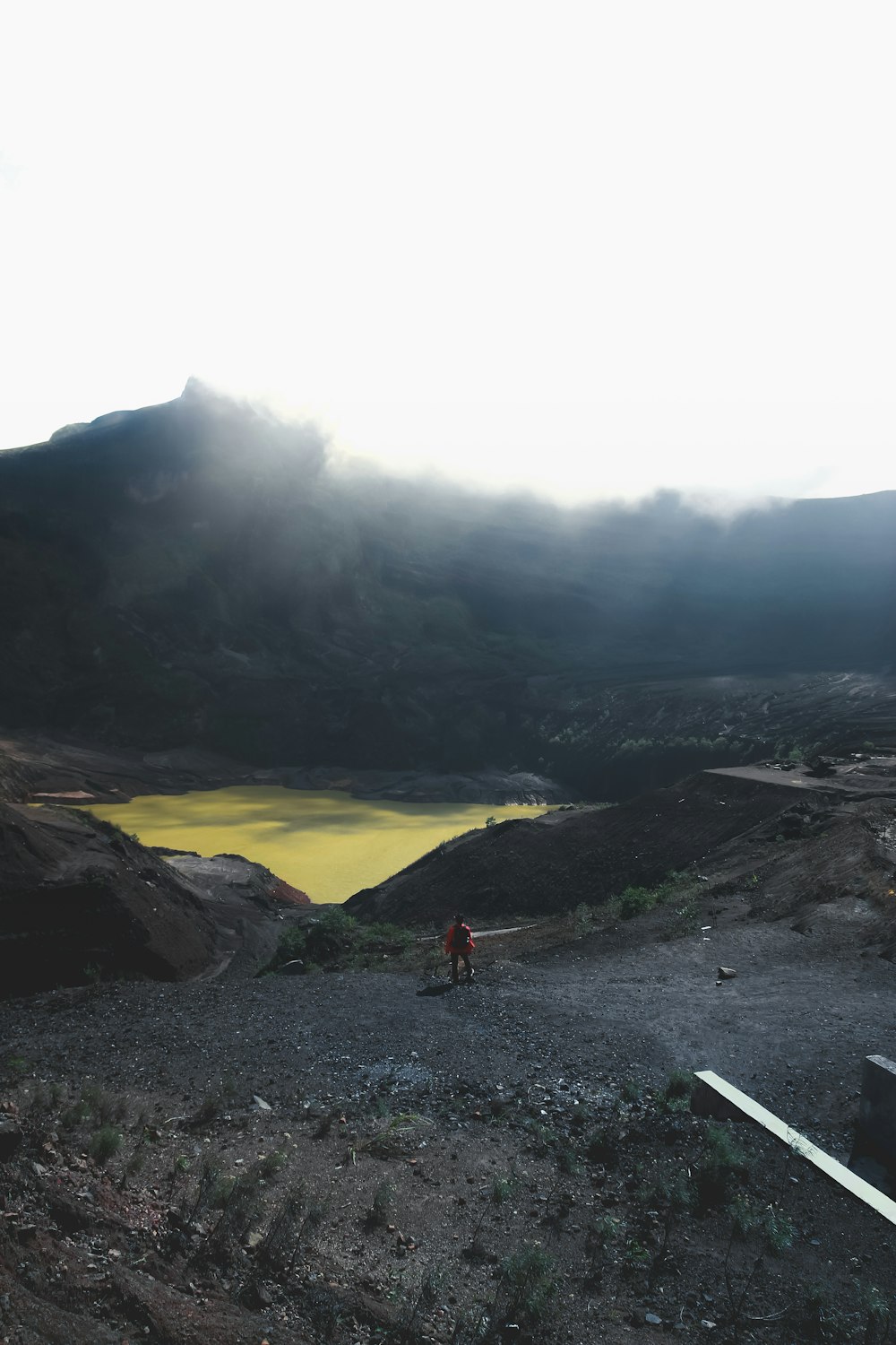 person standing near the body of water