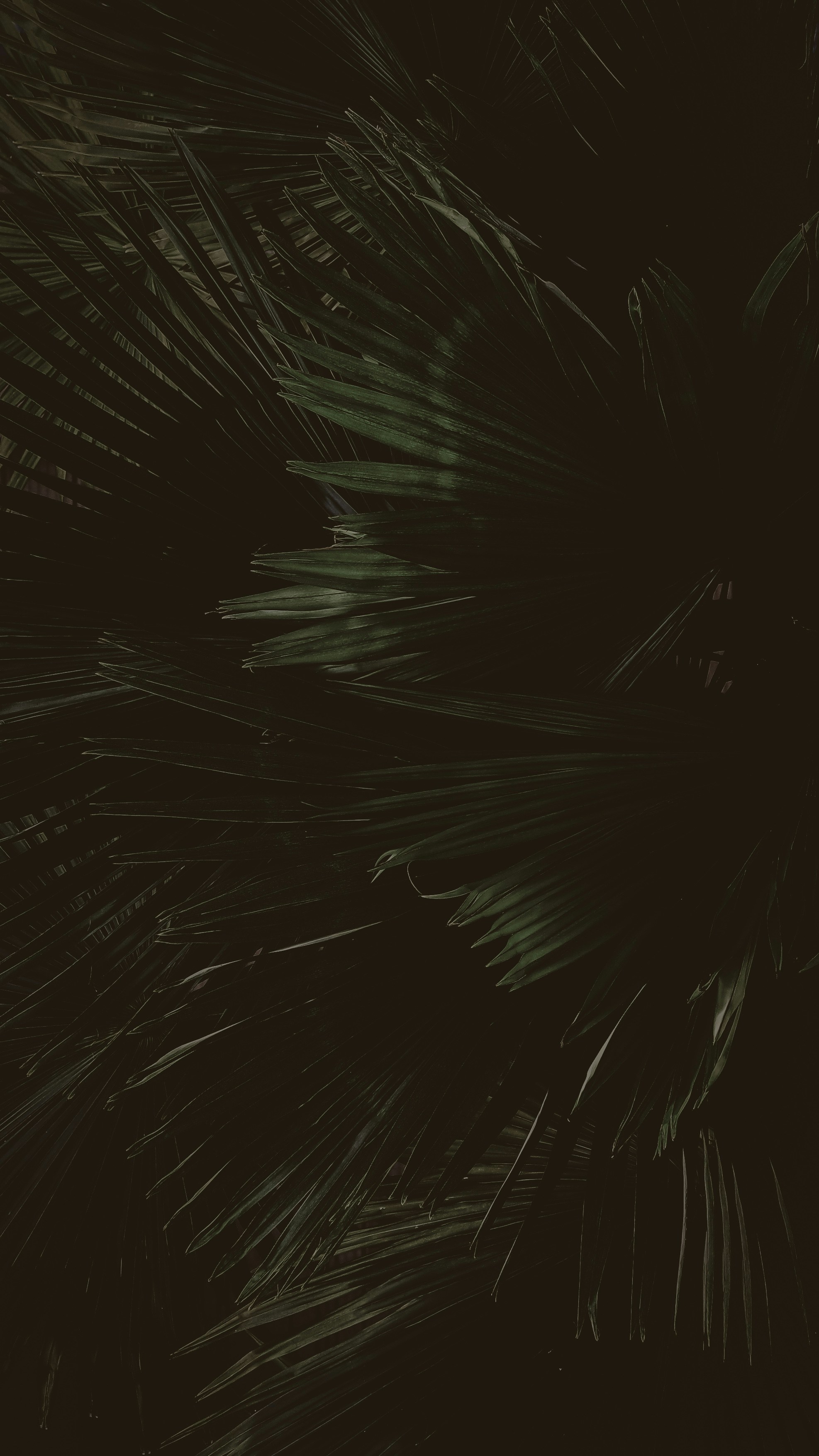 Photo by keirayukiii