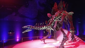 A dinosaur skeleton is displayed on a platform surrounded by vibrant lighting. The background features a dark blue and purple gradient with faint star map constellations labeled with names. The lighting casts dramatic purple, pink, and blue tones on the skeleton and the red-lit platform underneath.
