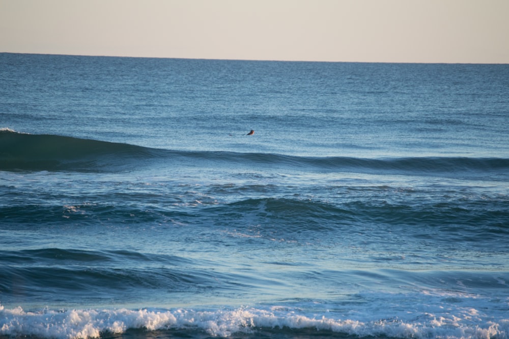 time lapse photography of beach