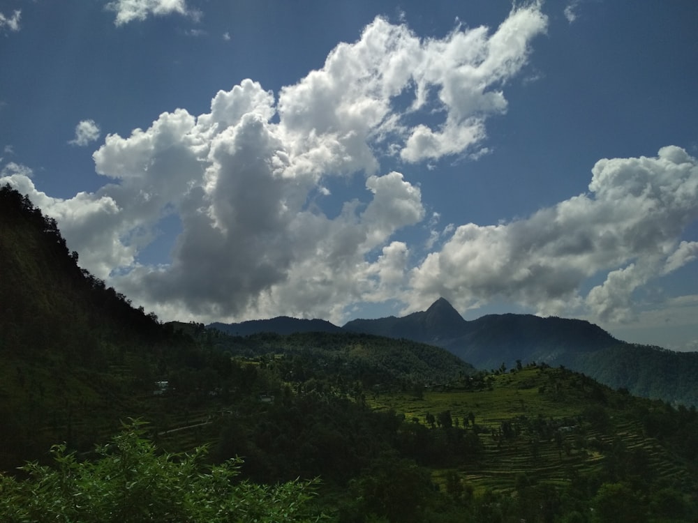 green forest under cloudy sky