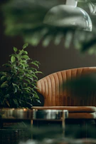brown leather lounge chair beside green plant